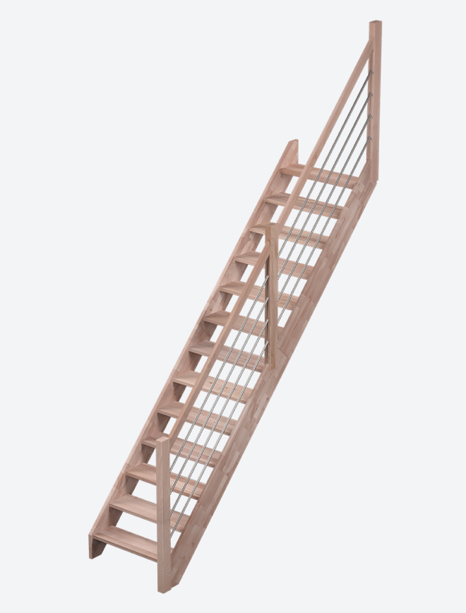 NEVADA
